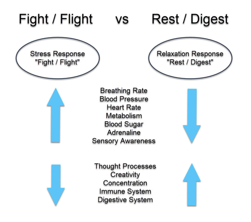 The Relaxation Response for Your Wellness